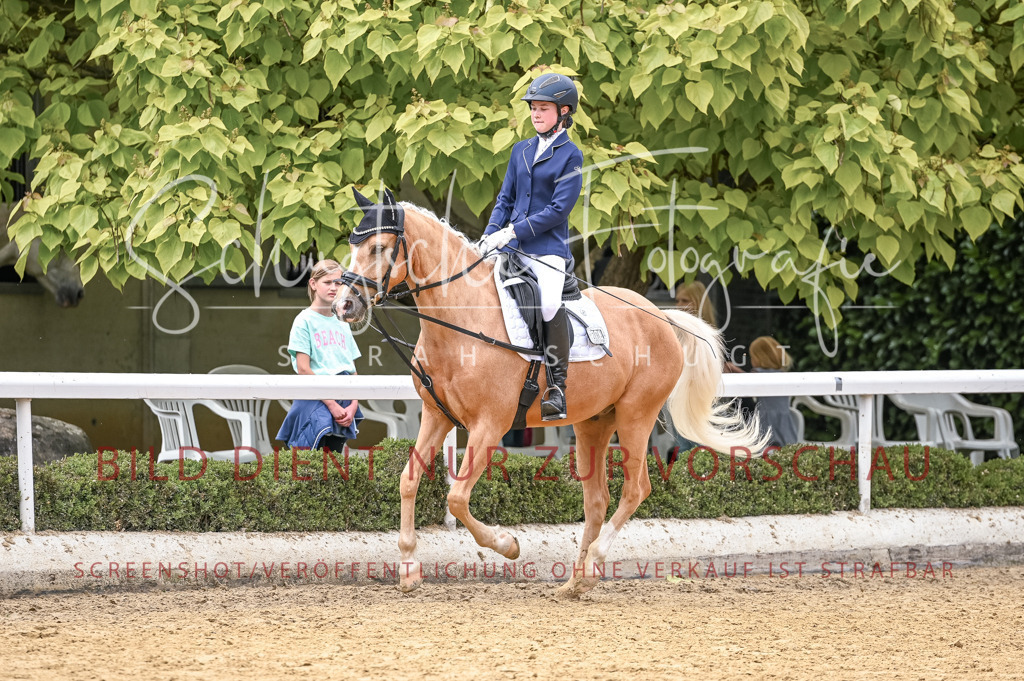 Schugtsche-Aluta25-46.ReiterWB_STG-42 | Schugtsche Fotografie - Realisiert mit Pictrs.com