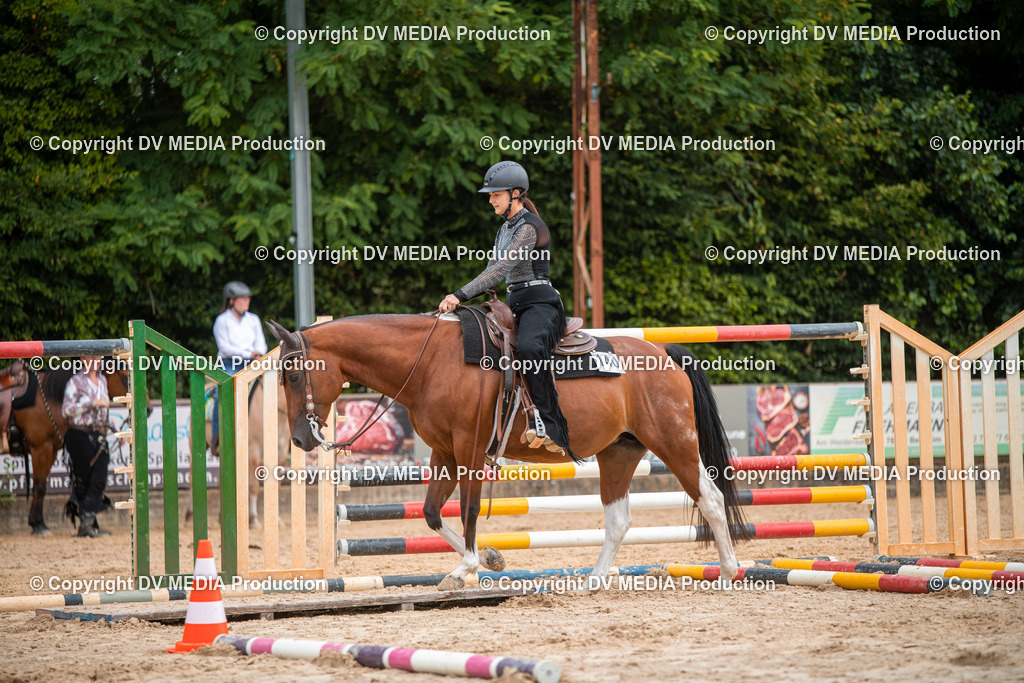 ZS2_7763 | dv-media-shop - Realisiert mit Pictrs.com