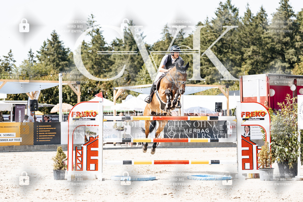 CK905139 | Turnierfotografie Pferdefotografie Trier Rheinland-Pfalz Pferdesport Reitsport Tierfotografie Sportfotografie Pferdevideo Pferdevideografie Equestrianvideography equestrianphotography  - Realisiert mit Pictrs.com