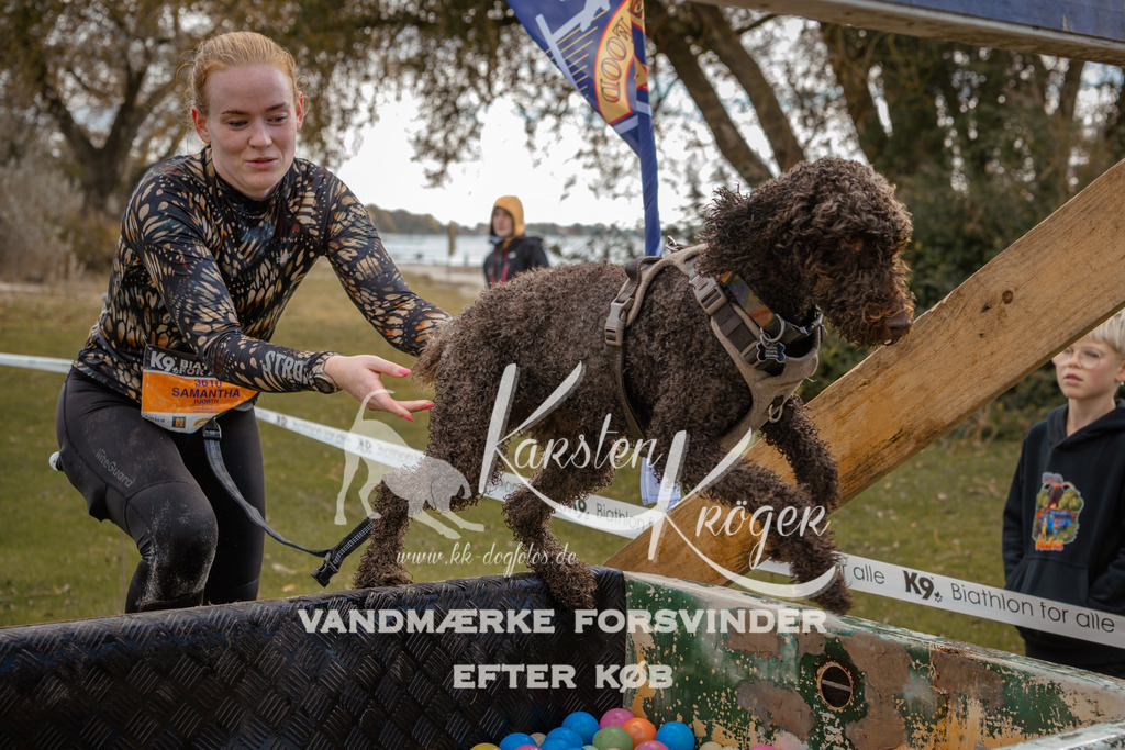 1338_ZZ91719-2 | kk-dogfotos