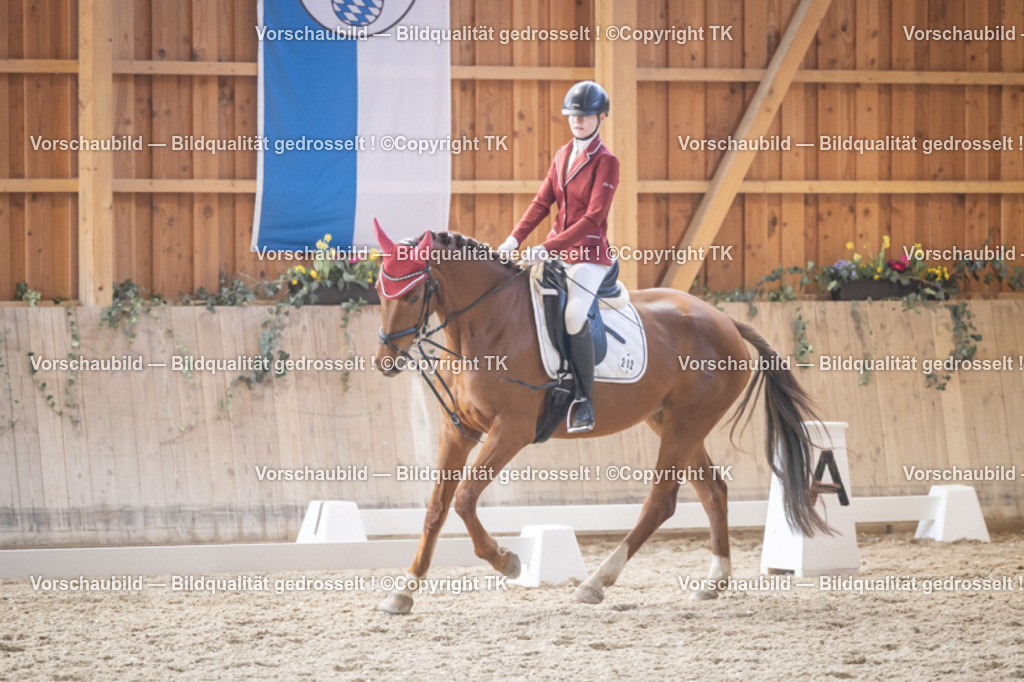 _D5A2507 | Emotionale Pferde- & People-Fotografie rund um Heidelberg, Leimen & Umgebung. Natürliche Fotos von Pferd, Mensch & Familie. Jetzt Termin sichern!