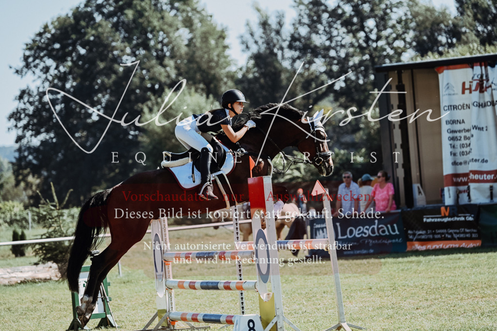 DSC_5861 | Pferde- und Turnierfotografie in Westsachsen. Pferdeportraits, Auftragszeichnungen und intuitive Kunst.