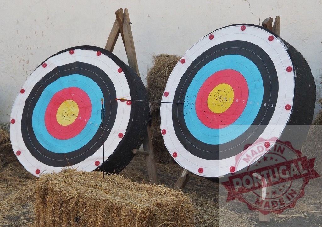 Archery targets showing precision and aiming for goal | Archery targets with arrows, representing accuracy and business success - Realized with Pictrs.com