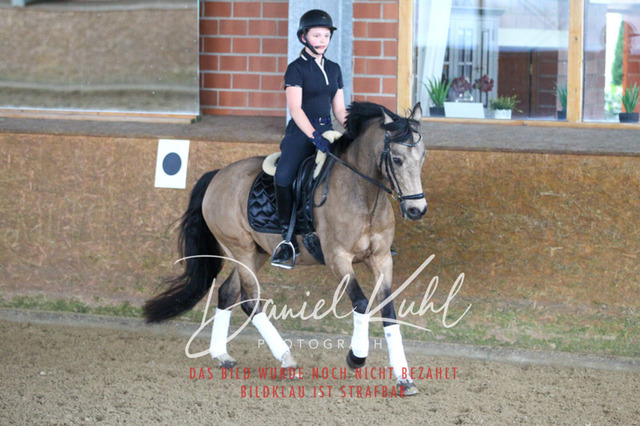 DKP42792 | Turniersportfotografie; Pferdefotografie; Dressurfotografie