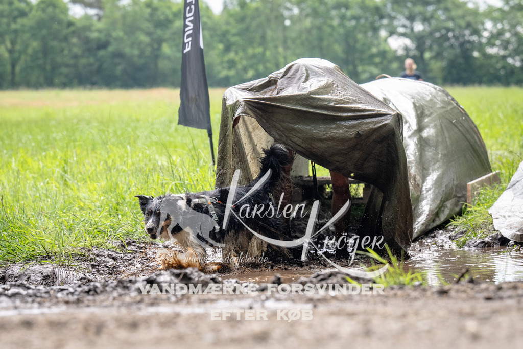 0955_ZZ92270 | kk-dogfotos
