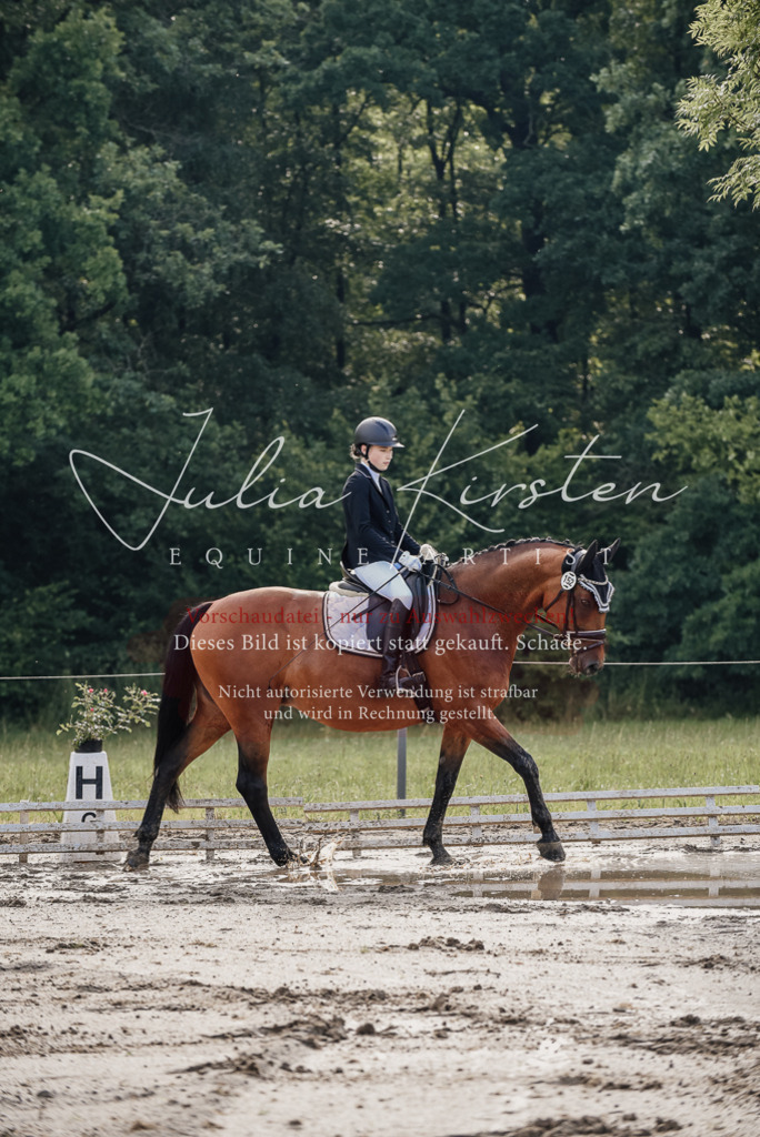 DSC_8087 | Pferde- und Turnierfotografie in Westsachsen. Pferdeportraits, Auftragszeichnungen und intuitive Kunst.
