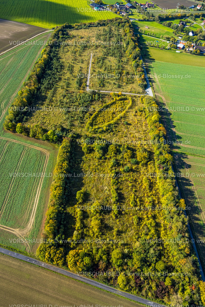 Hamm241008393 | Luftbild, Waldgebiet und Baumallee in ovale Form, ehemalige Zeche Westfalen Schacht 7, Ennigerberg, Formen und Farben, Stadtbezirk Heessen, Hamm, Ruhrgebiet, Nordrhein-Westfalen, Deutschland