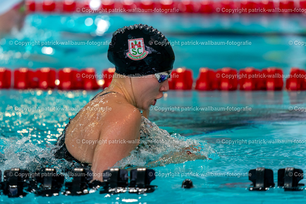 Piranha-2025-121 | patrick-wallbaum-fotografie - Realisiert mit Pictrs.com