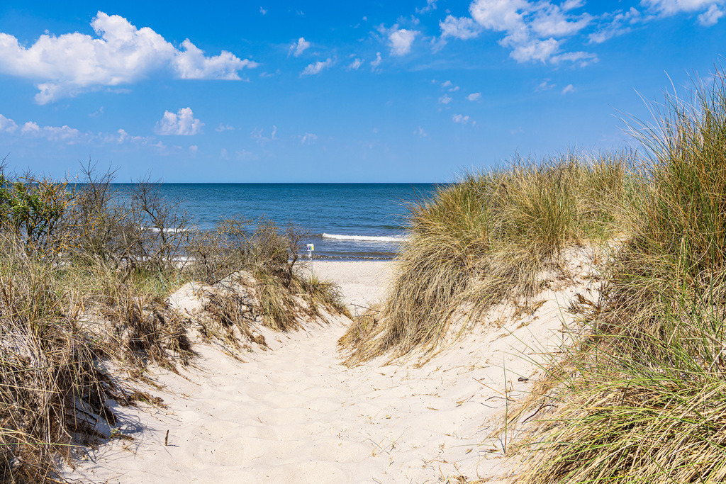 Strandzugang an der Ostseeküste bei Rosenort in der Rostocker Heide | Strandzugang an der Ostseeküste bei Rosenort in der Rostocker Heide.