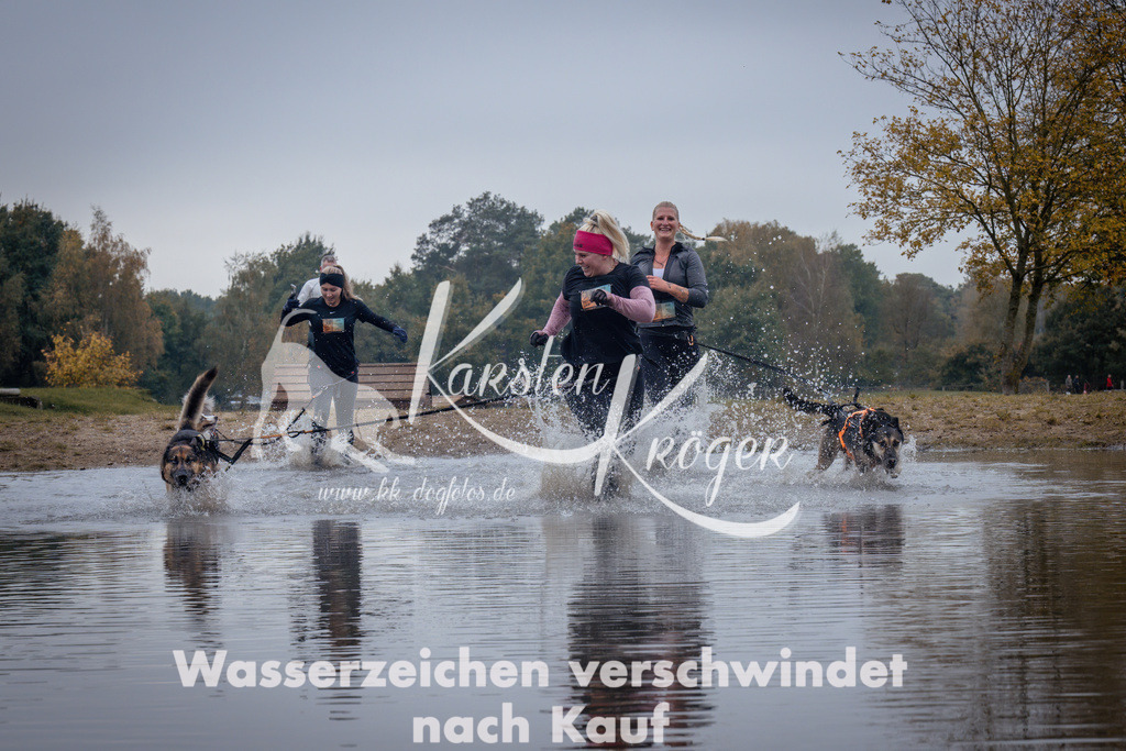 1217_ZZ99039 | kk-dogfotos