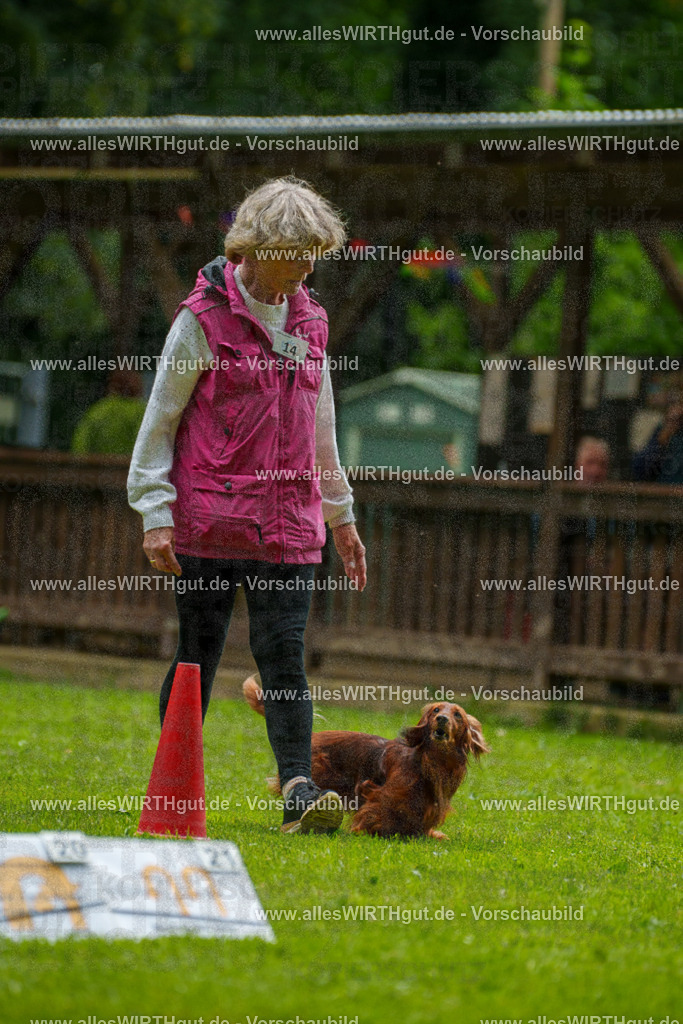 @allesWIRTHgut_Tierfotografie - www.allesWIRTHgut.de - 090918-7R506611 | Professionelle Tierfotografie in Mönchengladbach von Daniel Wirth (allesWIRTHgut). Liebevolle & natürliche Bilder von Hunden & Katzen für unvergessliche Erinnerungen.