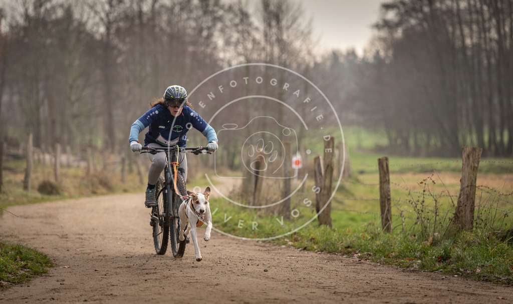 Pfotenfotografie_DV3A1754 | Hundefotografie, Tierfotograf, Pfotenfotografie, Fotoshooting Hund, Hunde Portrait, Hundesport, Hundeportraits, Heideshooting, Hunde, Sportfotograf, Hundefotograf, Turnierhundsport, THS,  - Realisiert mit Pictrs.com