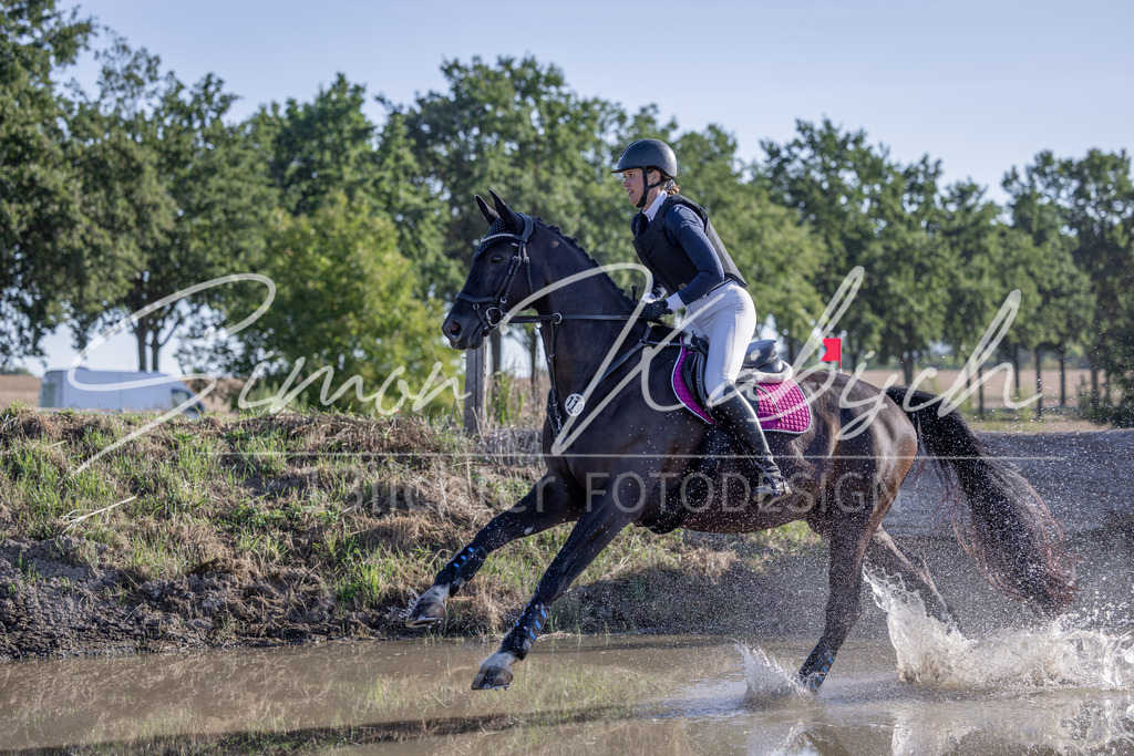 20260906-_3LI1334 | Tierfotografie Pferde, Hunde, Katzen, Haustiere.
Turnierfotografie Reitturniere, Reiten, Springreiten, Dressur in Hanau, dem Main-Kinzig-Kreis und dem Rhein-Main- Gebiet um Frankfurt