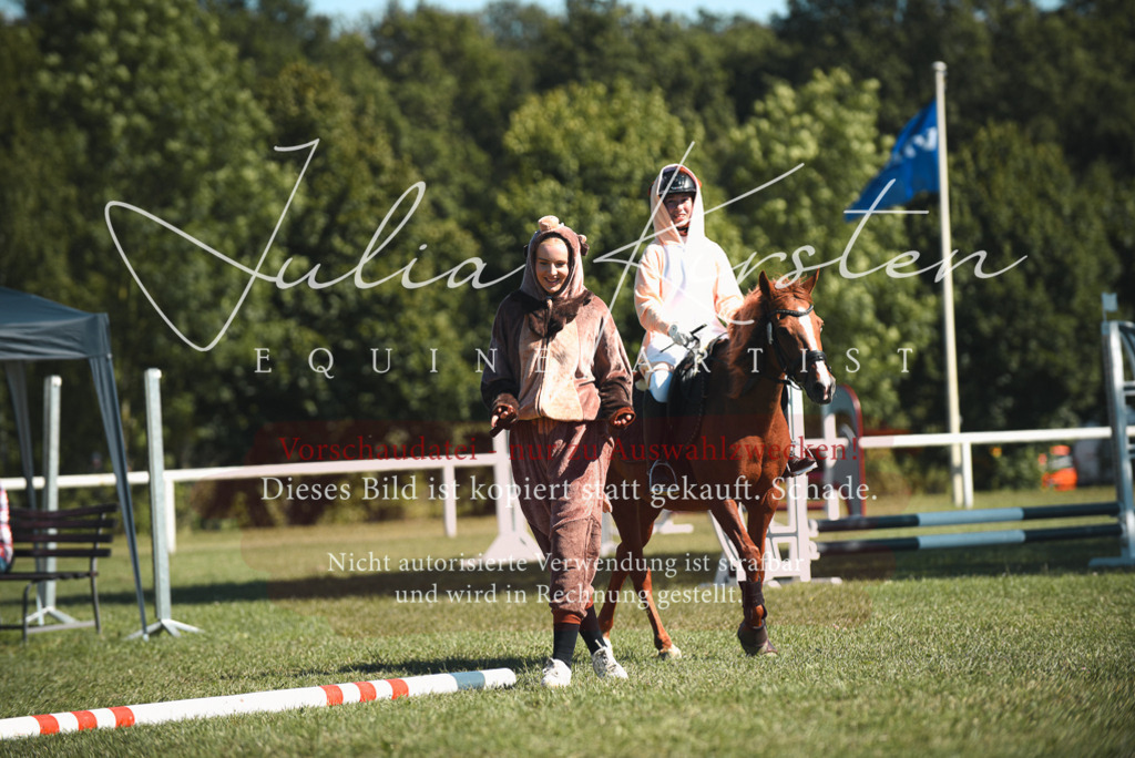 DSC_7371 | Pferde- und Turnierfotografie in Westsachsen. Pferdeportraits, Auftragszeichnungen und intuitive Kunst.