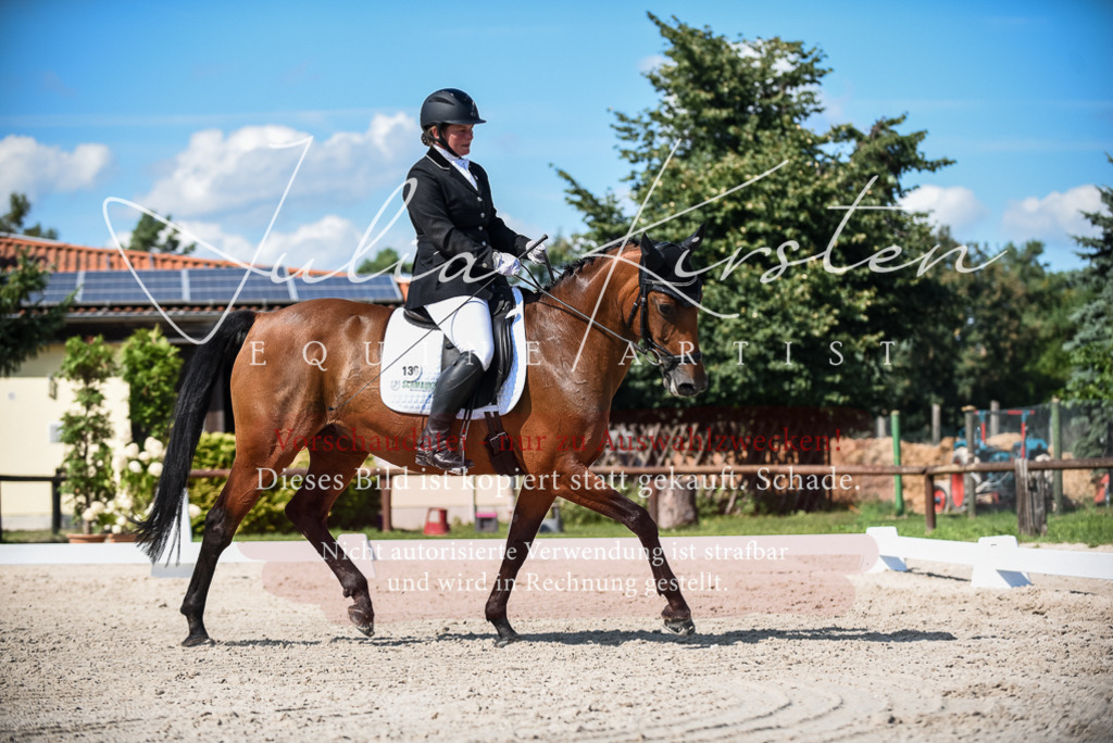 DSC_9628 | Pferde- und Turnierfotografie in Westsachsen. Pferdeportraits, Auftragszeichnungen und intuitive Kunst.