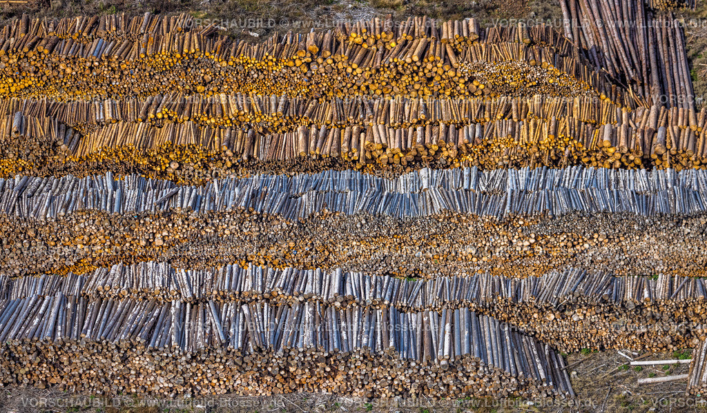 Bestwig220902079 | Luftbild, Waldschäden, Waldsterben, Holzstapel, Baumstämme, Formen und Farben, Ostwig, Bestwig, Ruhrgebiet, Nordrhein-Westfalen, Deutschland