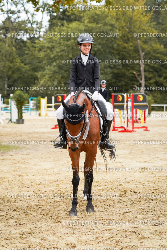 DSC06229 | Pferdegrafie