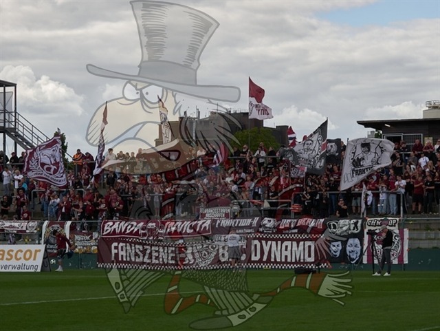 BFC Dynamo vs. ZFC Meuselwitz 185 | mythos-online-redaktion
