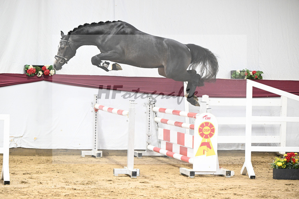 Kat-Nr. 92 Vingino x Stolzenberg_Markus u Leonhard Diez_47252658 | hf-fotografie - Realisiert mit Pictrs.com