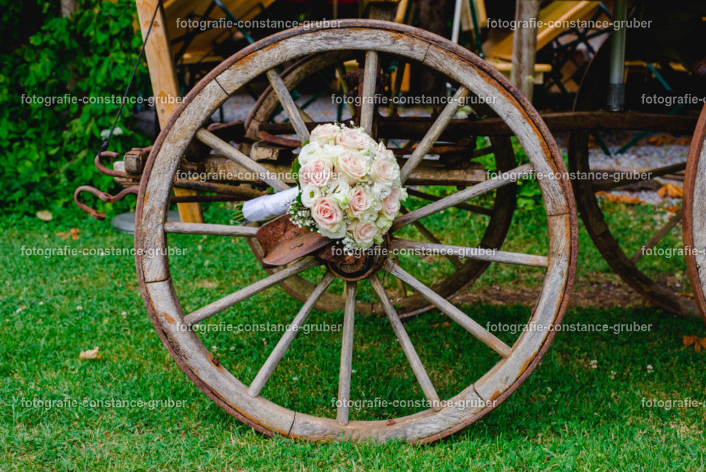 1012 | Fotografie Constance Gruber - Realisiert mit Pictrs.com