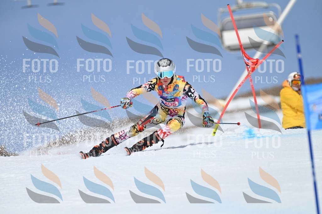 BGV_1050 | holidayphoto