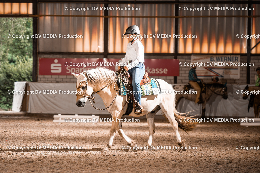 ZH200416 | dv-media-shop - Realisiert mit Pictrs.com