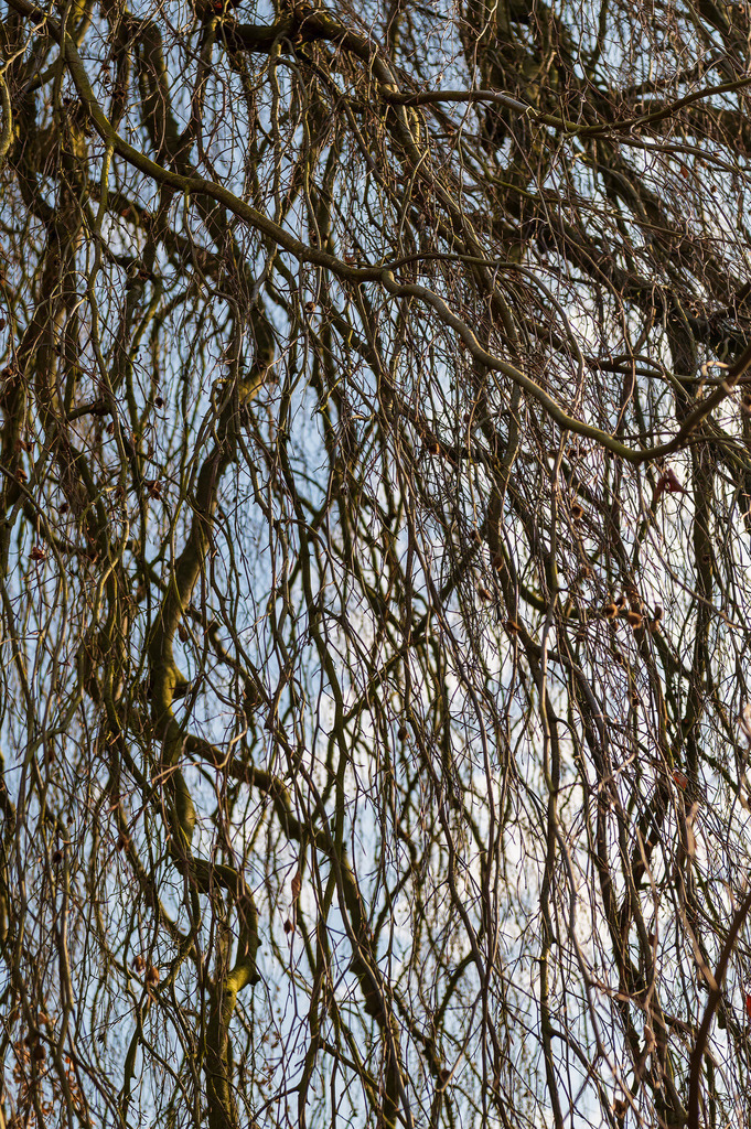 2025_03_23_HH-BLANKENSE+ELBE_MCP6897 | Hochwertig gedruckte Fotografien für die Wand, als Kalender und zum Verschenken. Hamburg & Norddeutschland und überall wo ich mit der Kamera unterwegs war.