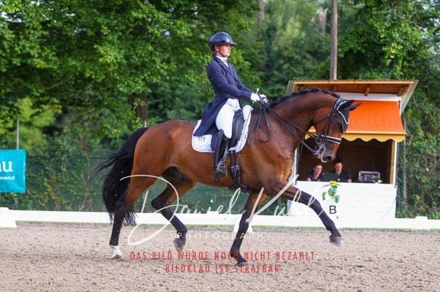 DKP41555 | Turniersportfotografie; Pferdefotografie; Dressurfotografie