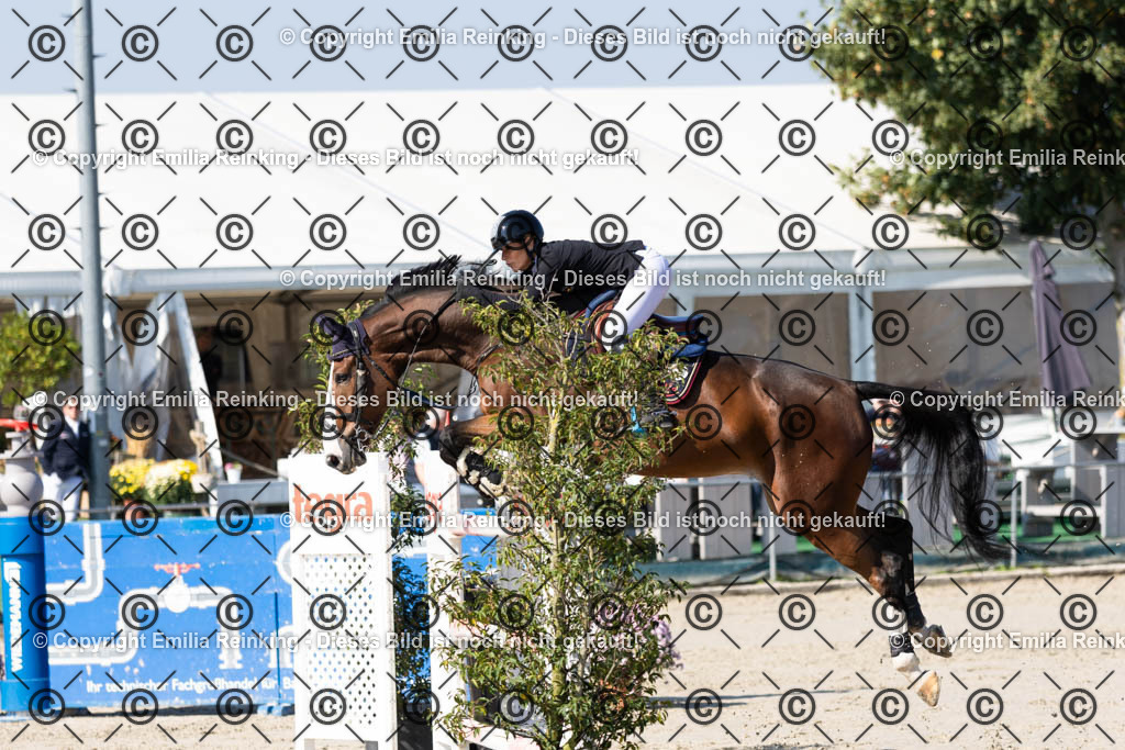 CL5A6359 | Emilia Reinking Fotografie - Realisiert mit Pictrs.com