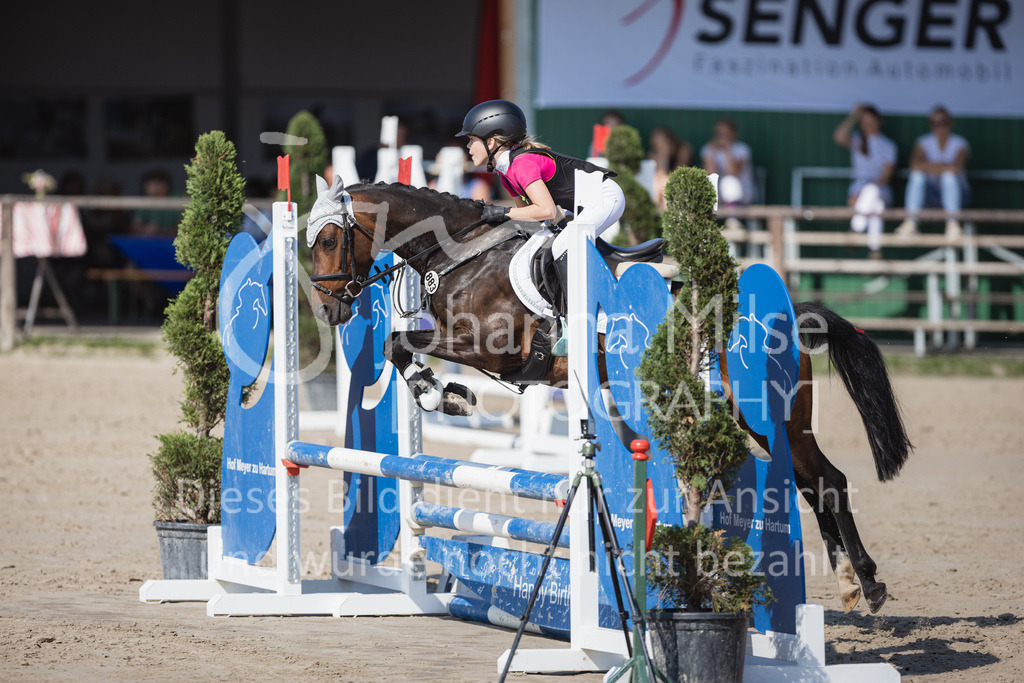 230625_PfSpTa_SpringreiterWB-236 | Deine schönsten Turniermomente als professionelle Fotos! Entdecke hochwertige Pferdesport-Fotografie im Online-Shop. Jetzt Fotos finden & bestellen!