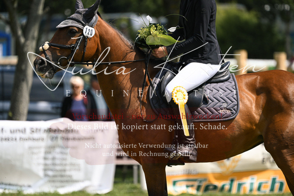 DSC_9172 | Pferde- und Turnierfotografie in Westsachsen. Pferdeportraits, Auftragszeichnungen und intuitive Kunst.
