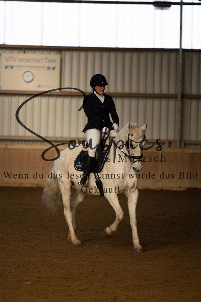 A7V05482 | Pferdefotograf