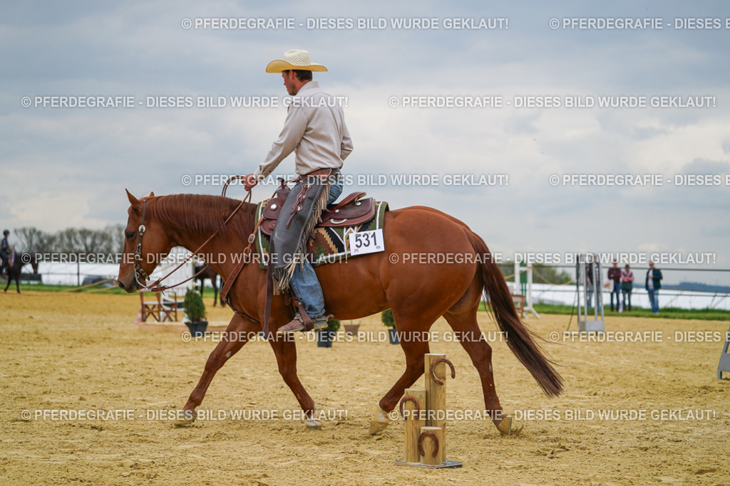 DSC07099 | Pferdegrafie