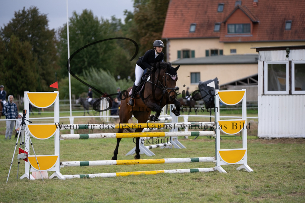 A7V07316 | Turnier/Reitfotograf