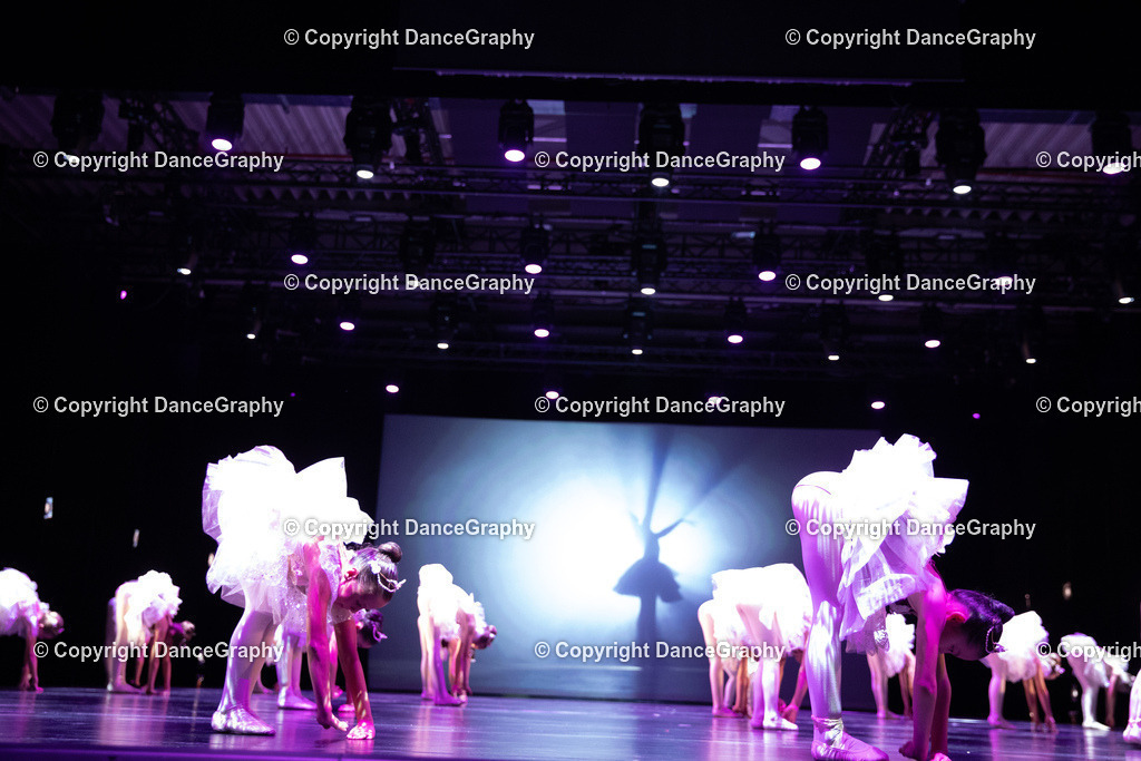 GPHY5239 | DanceGraphy - Realisiert mit Pictrs.com