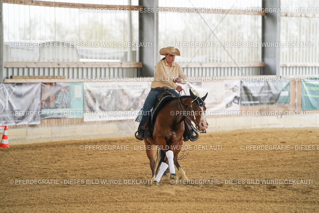 DSC07068 | Pferdegrafie