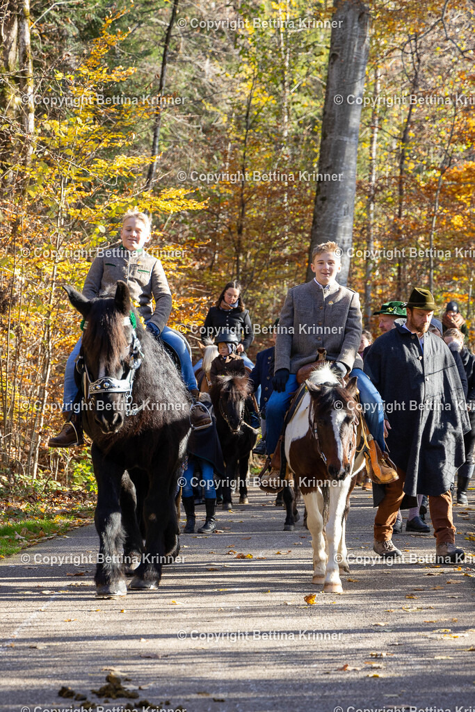 LL24-356 | foto-bettina-krinner - Realisiert mit Pictrs.com