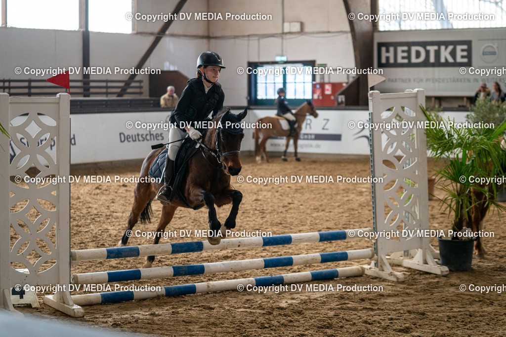 Kranichstein Tag 2-663 | dv-media-shop - Realisiert mit Pictrs.com