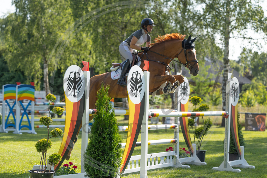 994A3264 | sabrinanicolaifotografie - Realisiert mit Pictrs.com