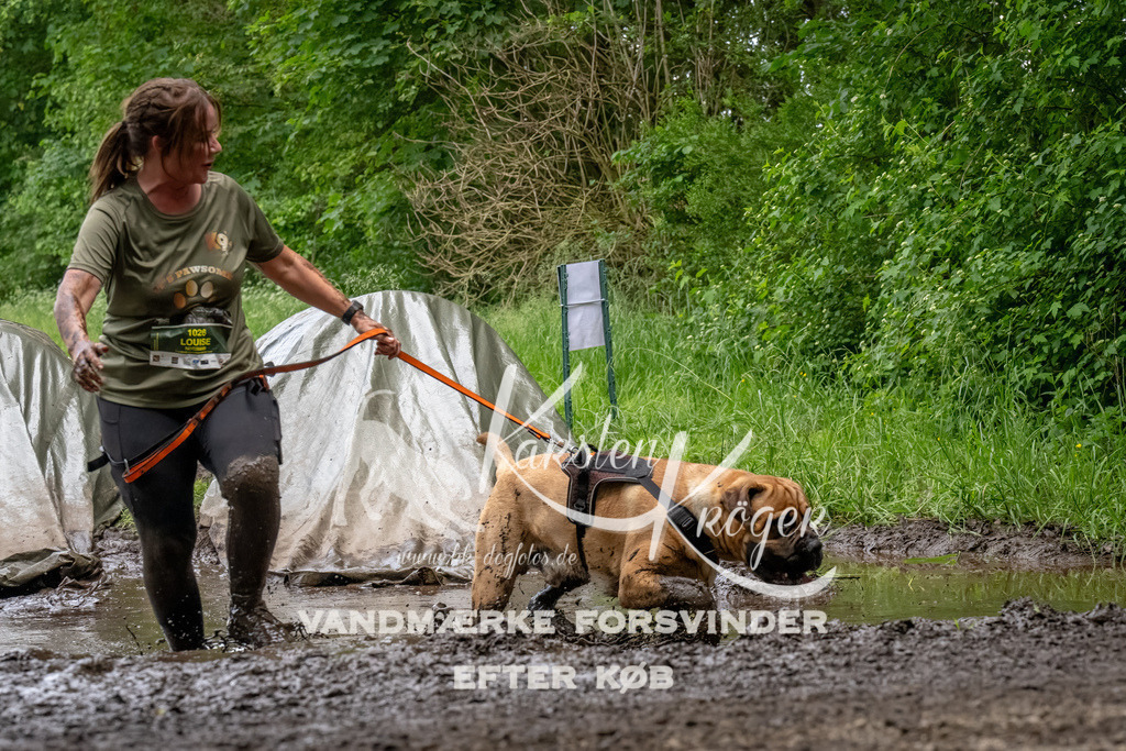 1538_ZZ94687-Bearbeitet | kk-dogfotos
