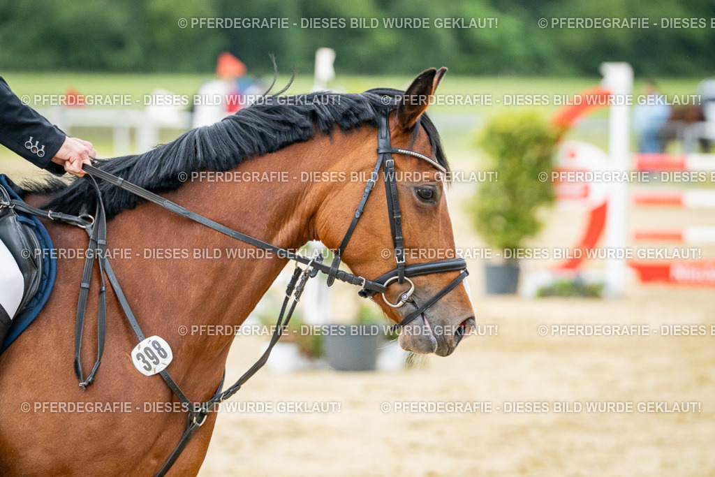 DSC06768 | Pferdegrafie