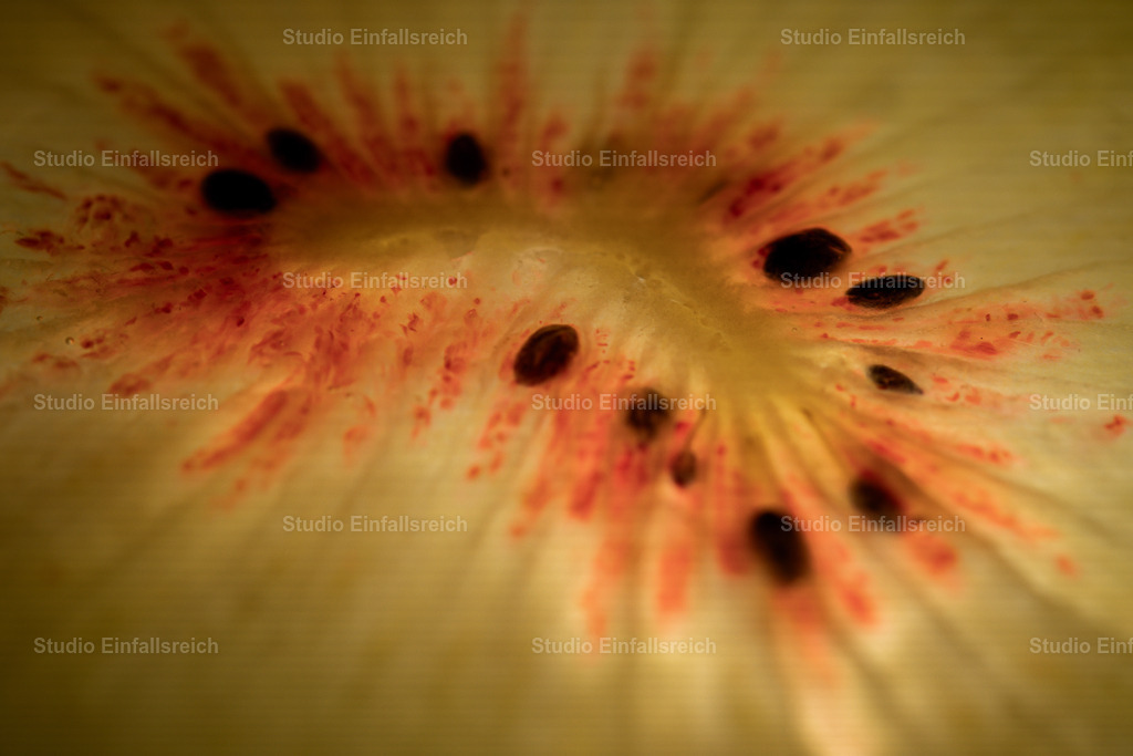 Innenwelt – Kiwi im Makro | Ganz nah zeigt sich die Kiwi als leuchtendes Muster aus Kernen und feinen Strahlen. Ein abstraktes Naturwunder, das erst im Makro sichtbar wird. Faszinierend für alle, die das Detail lieben. Als Fine-Art-Print und Wandbild in verschiedenen Größen erhältlich. - Realisiert mit Pictrs.com
