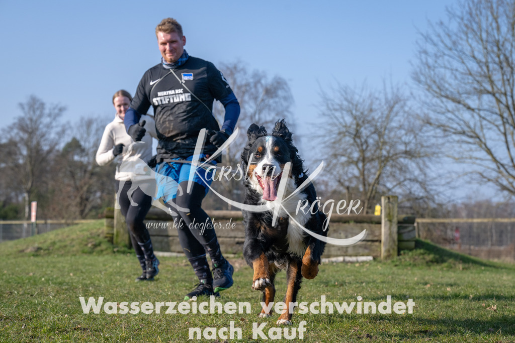 _ZZ94905 | kk-dogfotos