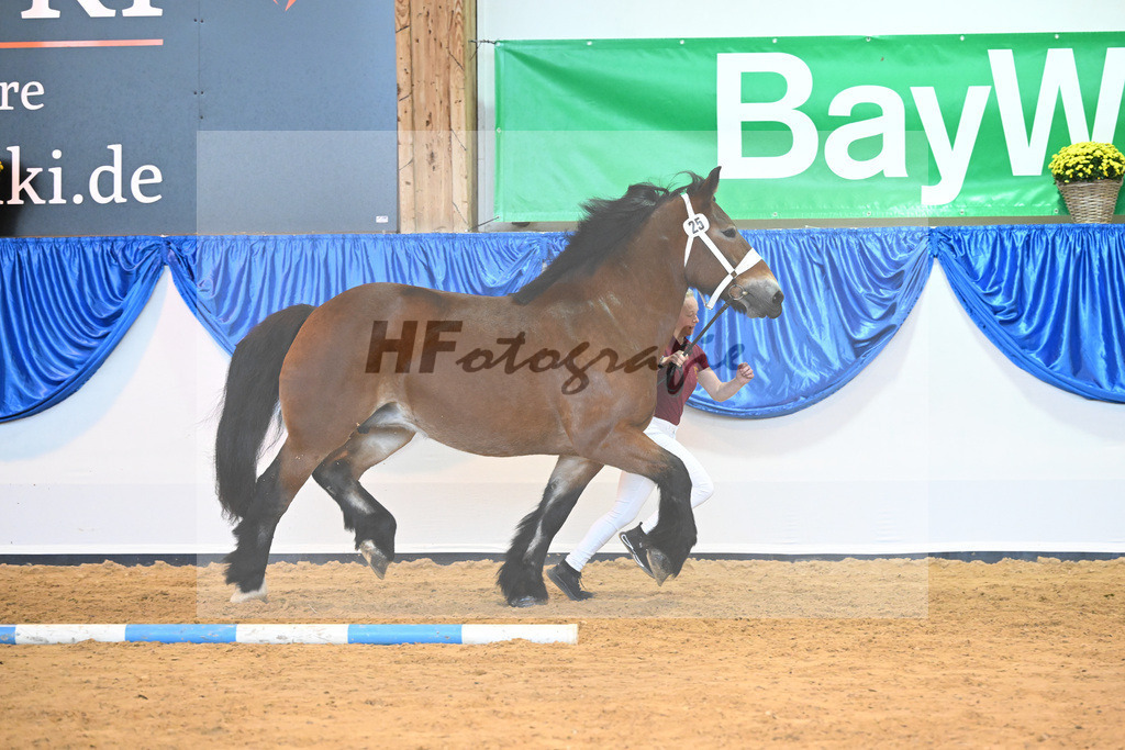 Kat-Nr. 25 Nele_Pferdehof Schwittersdorf_53221115 | hf-fotografie - Realisiert mit Pictrs.com