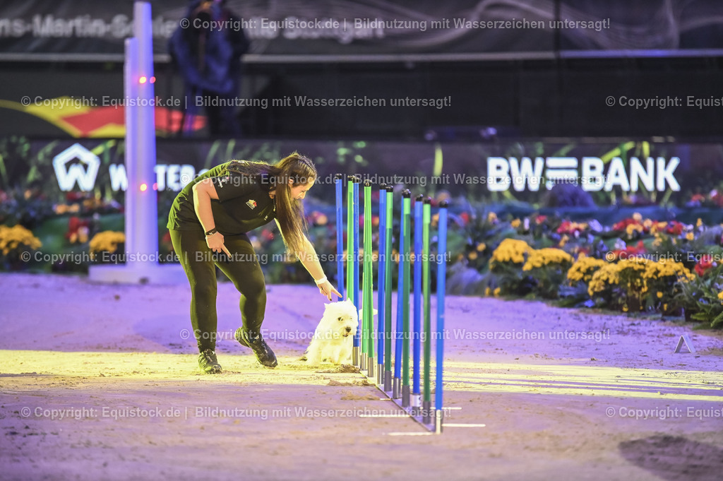 20231115_Dog-Agility_0077_TOMsPiC | Foto: Thomas Hartig