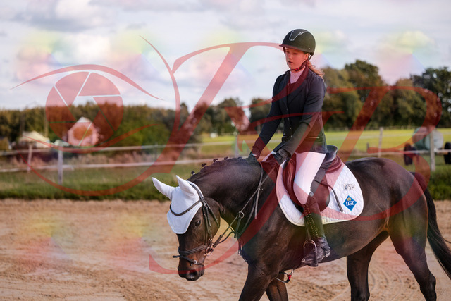 2026_10_03_Siefer-Hof_150000_Z81_42396316 | Professionelle Reitsport-, Turnier- und Eventfotografie von Robert Broda. Galerien mit ausgewählten und bearbeiteten Bildern direkt online ansehen und bestellen.