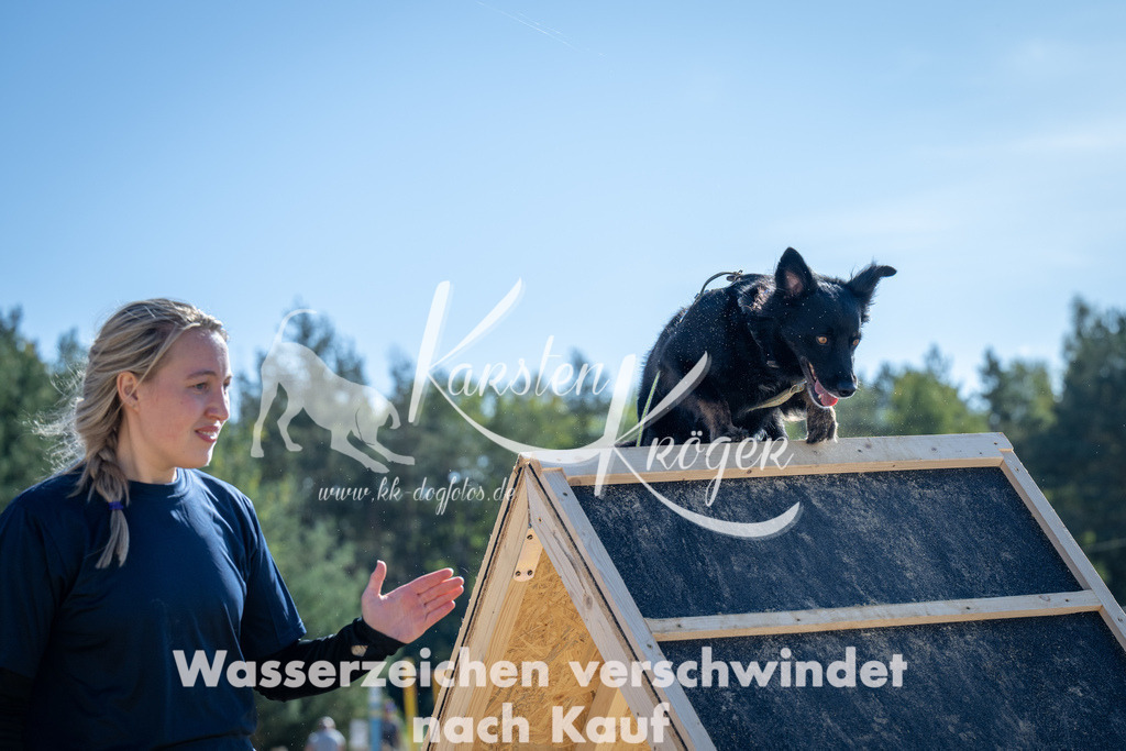 1237_ZZ93382-2 | kk-dogfotos