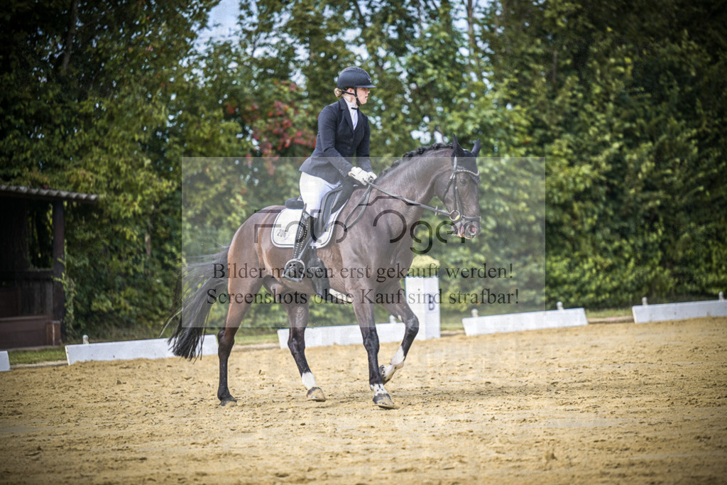 DOS_6269 | Entdecke hochwertige Reitturnierfotos von Foto Oger. Professionell, emotional und authentisch – jetzt Lieblingsmomente im Shop bestellen.Deutschlandweite Turnierfotografie. - Realisiert mit Pictrs.com