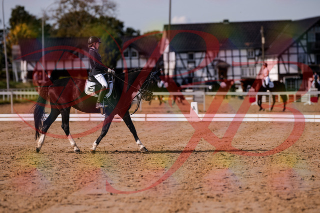 2026_10_03_Siefer-Hof_121535_Z81_17263867 | Professionelle Reitsport-, Turnier- und Eventfotografie von Robert Broda. Galerien mit ausgewählten und bearbeiteten Bildern direkt online ansehen und bestellen.