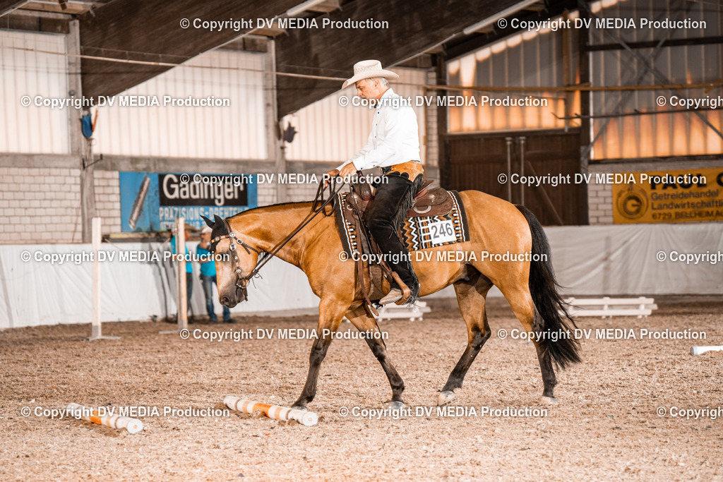 ZH200617 | dv-media-shop - Realisiert mit Pictrs.com